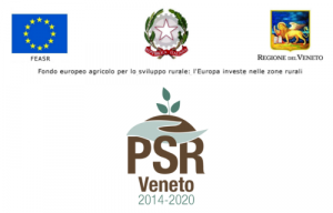 Contributo regionale